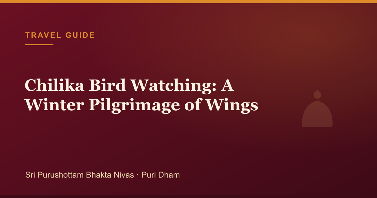 Chilika Bird Watching: A Winter Pilgrimage of Wings — illustrated guide cover